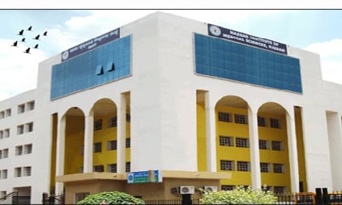 Hassan Institute of Medical Sciences